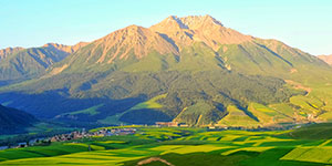 甘肅建投生態(tài)建設(shè)集團(tuán)有限公司隸屬于中國(guó)500強(qiáng)企業(yè)—甘肅省建設(shè)投資（控股）集團(tuán)有限公司，是甘肅建投貫徹落實(shí)“五位一體”總體布局和新發(fā)展理念，推進(jìn)生態(tài)治理板塊發(fā)展的新業(yè)態(tài)公司。